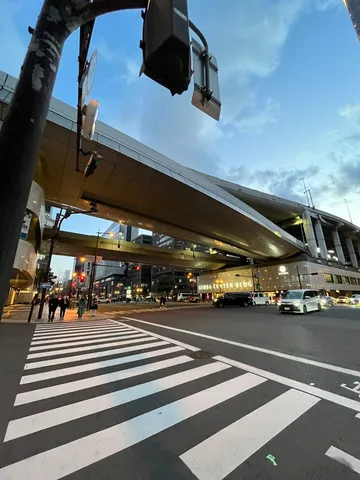 高架下の横断歩道、交差する日常