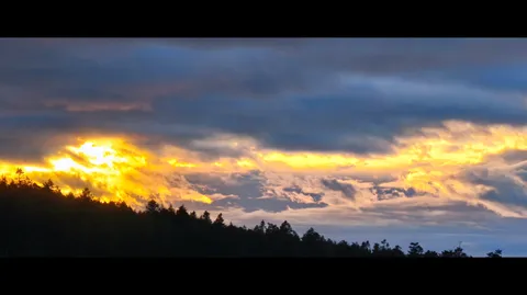 夕暮れの光と森の影