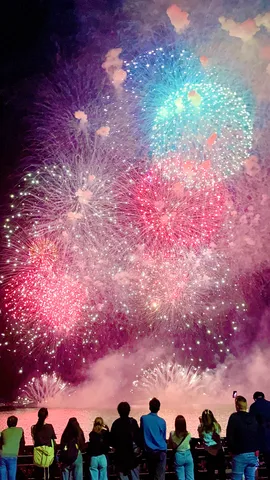 夜空を彩る華やかな光の宴