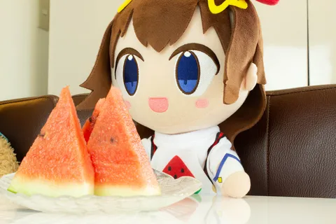 夏のスイカと可愛い仲間