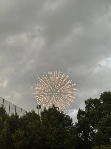 夜空に咲いた一輪の花
