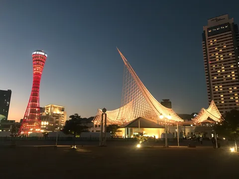 神戸の夜景、光と影のシンフォニー