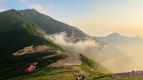 雲海に包まれた山道の情景