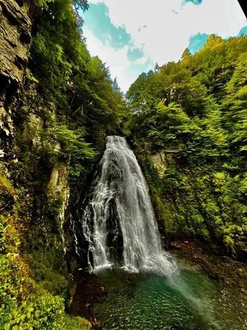森の奥でほどける滝