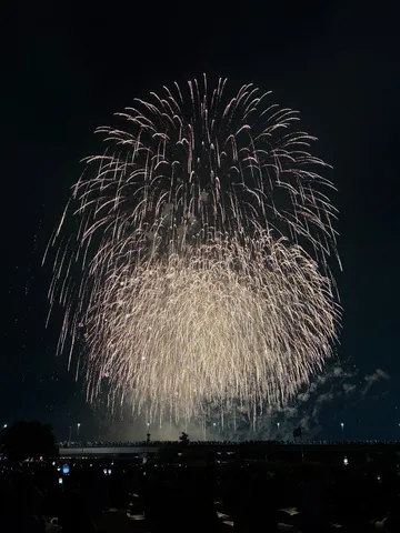 夜空を彩る光のシャワー