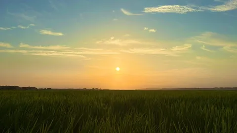 広がる緑と茜色の空