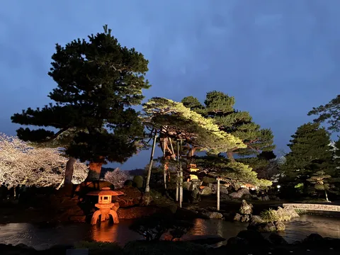 静寂に灯る、和の夜。