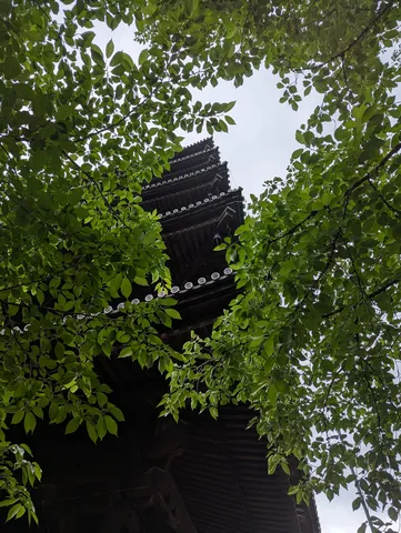 緑葉に包まれた古刹の塔