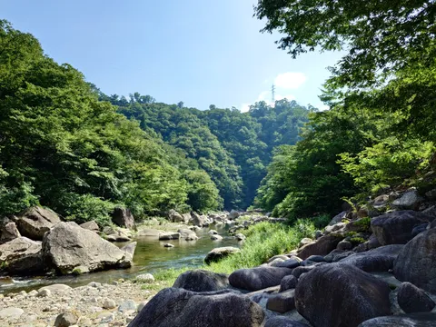 夏空の下、深い緑の渓谷