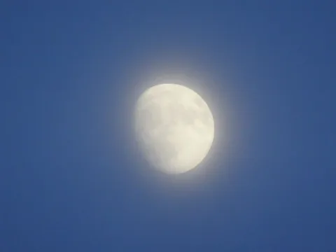 朧月