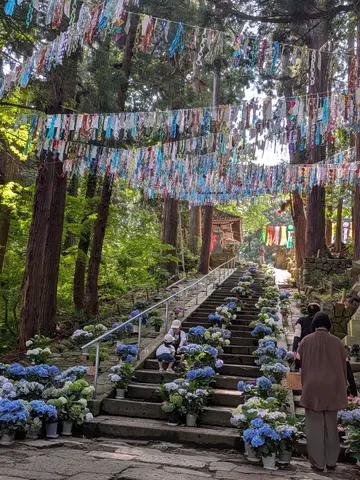 彩りの参道と紫陽花の階段