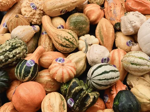 秋色の宝箱みたいな野菜