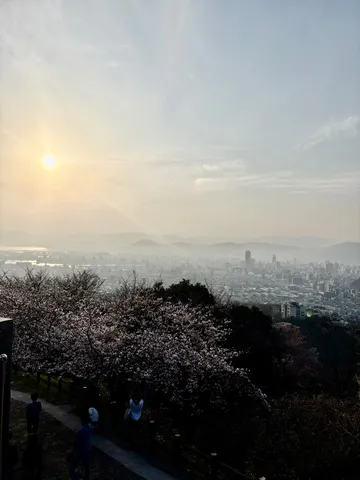 春霞の街と桜
