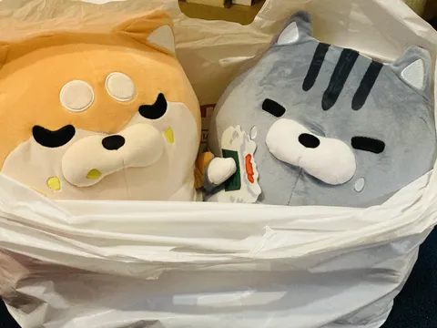 ぼん
