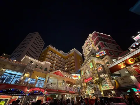 煌めく光が彩る夜