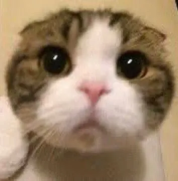 吸い込まれそうな瞳