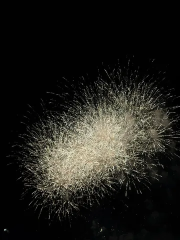 夜空を彩る光の華