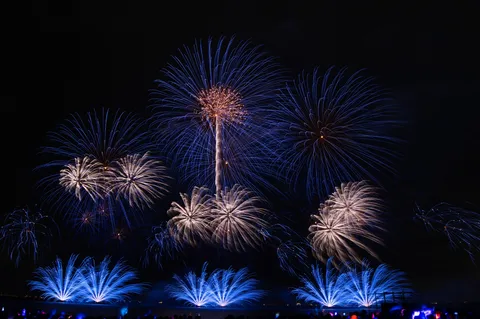 夜空に咲く光の華々