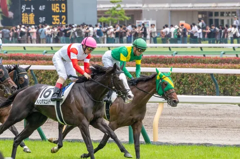 競走馬とジョッキーの躍動感あふれる一瞬