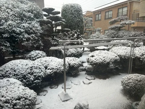 静寂の庭に舞う雪