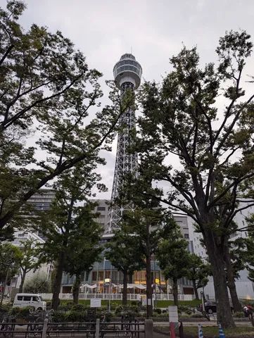 緑に包まれたタワーと街並み