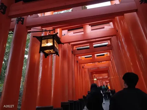 朱色の鳥居トンネル、灯りがぽつり