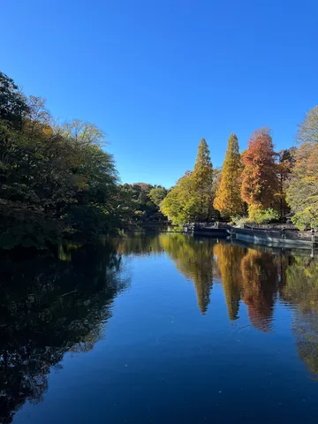 秋色の水鏡、澄んだ空