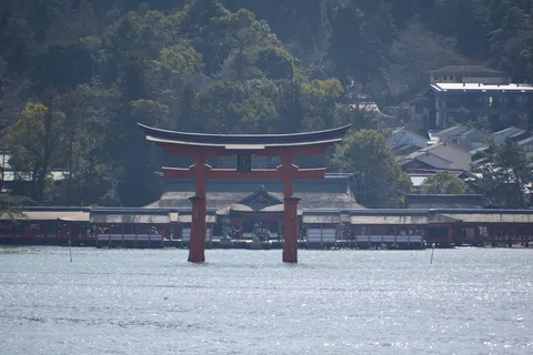 水面に浮かぶ鳥居の情景