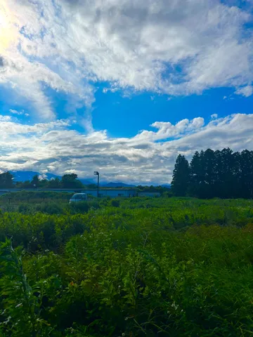 夏の終わりの緑と空