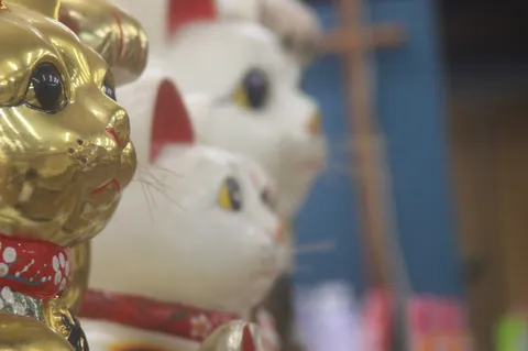 金色の招き猫が揃う光景