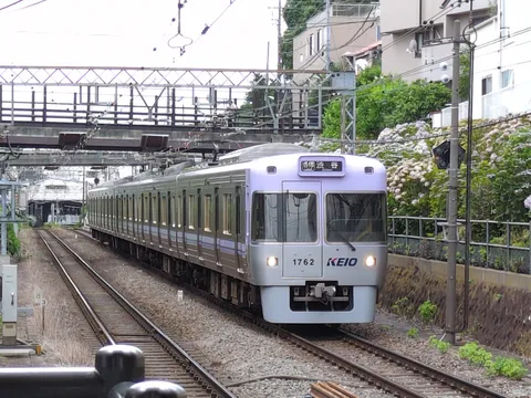 水色の電車と紫陽花のコントラスト