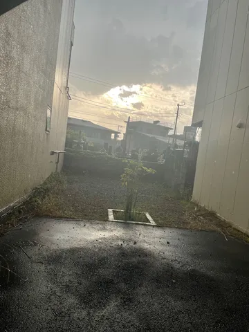 夕暮れの路地と一輪の木
