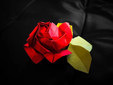 折紙、薔薇