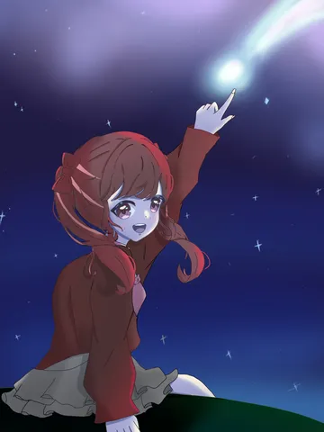 星降る夜に願うひととき