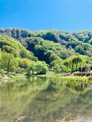新緑と水鏡の静景