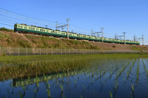 田んぼに映る、緑の列車