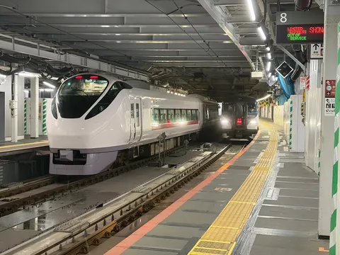 並び立つ特急列車、旅の始まり？