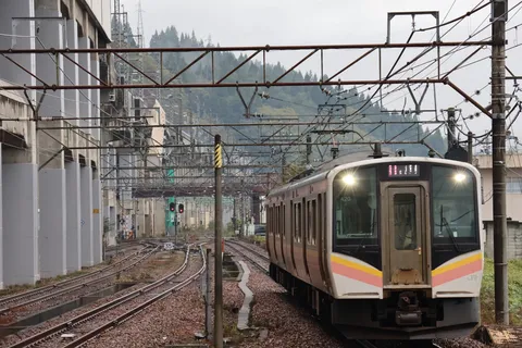 架線の森を抜ける列車