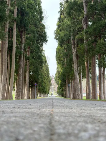緑のトンネルを抜ける先