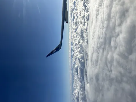 大空へ伸びる翼