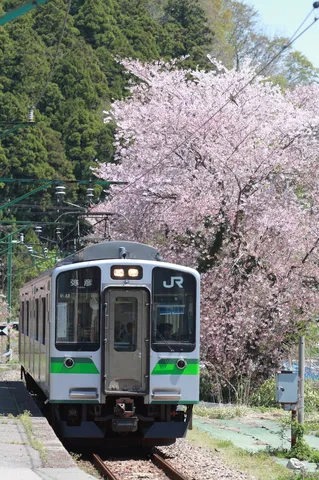 JRも花見日和