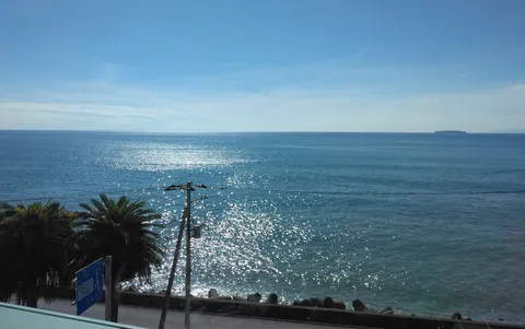 海
