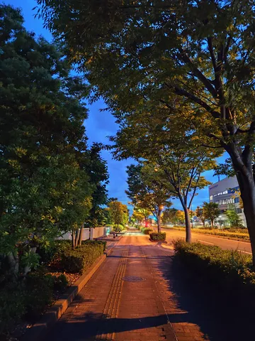 夕暮れ時の風情ある遊歩道