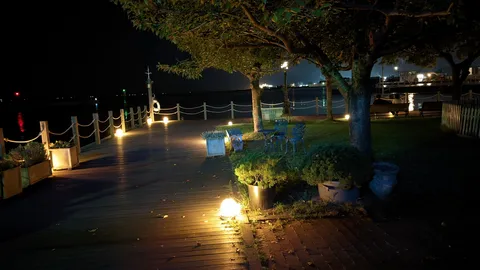 夜風に揺れる灯と木陰