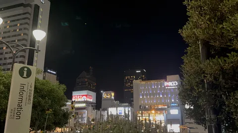 夜景に浮かぶ情報サイン