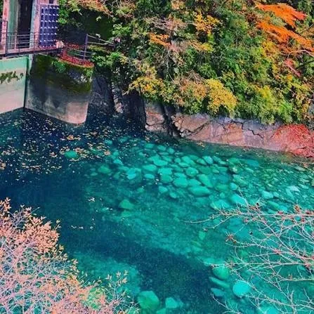秋の透き通る水辺