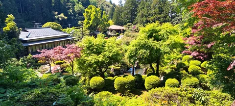 雅やかな和の庭園風景