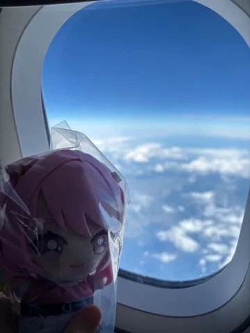 機窓とぬいぐるみの旅路