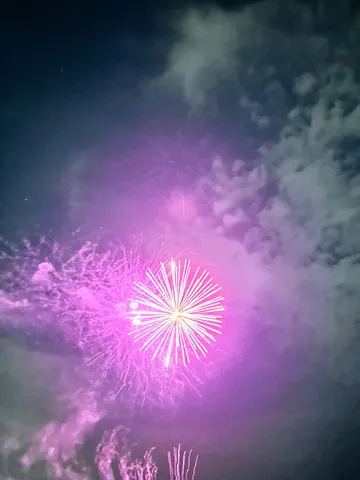 夜空を彩る、一瞬の光の華