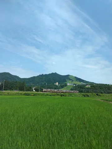 田園とローカル線、夏の風景